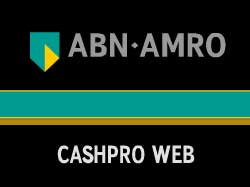 �������� Flash �����������