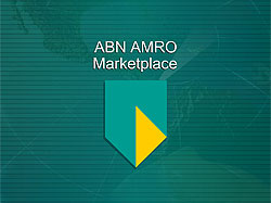 Flash �����������