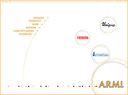 ���������� Flash ����������� ���������� ���������