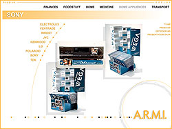 ���������� Flash �����������